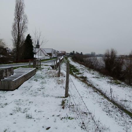 De Twie Keuninge Maasmechelen Kültér fotó